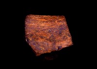 藏品(鹿角一段)的圖片